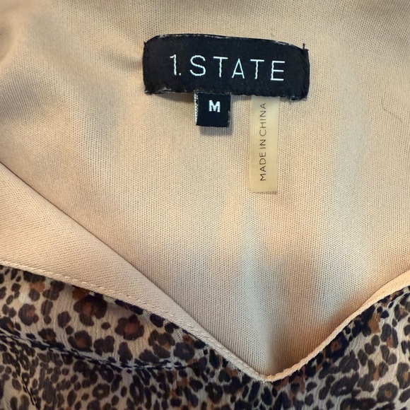 Leopard Print V-Neck Women's Top - Picture 2 of 6